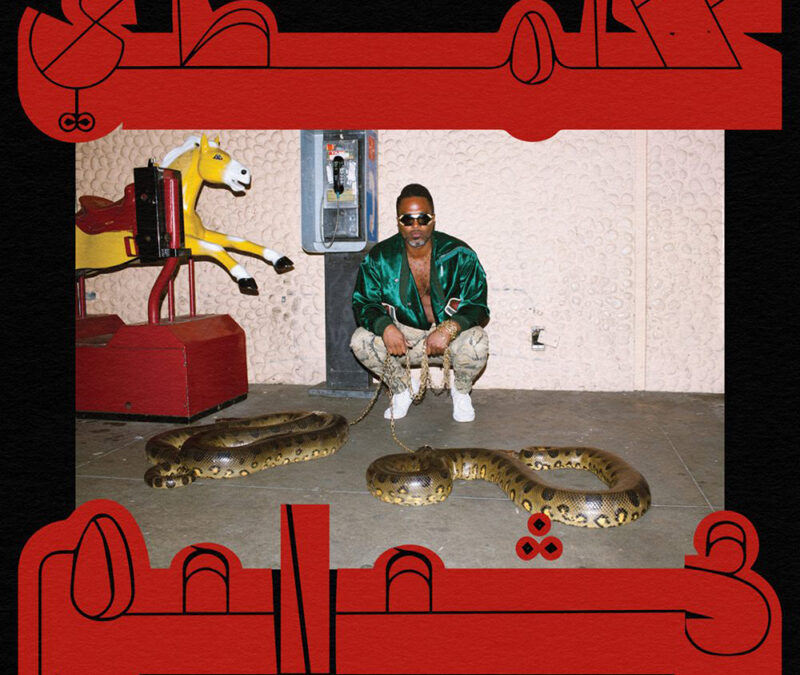 Shabazz Palaces « Robed In Rareness »