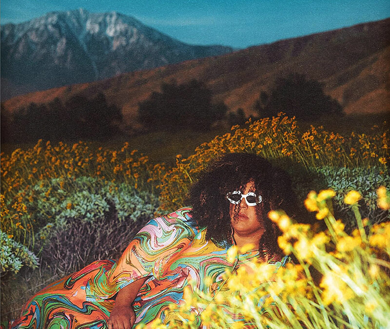 Brittany Howard “What Now” 
