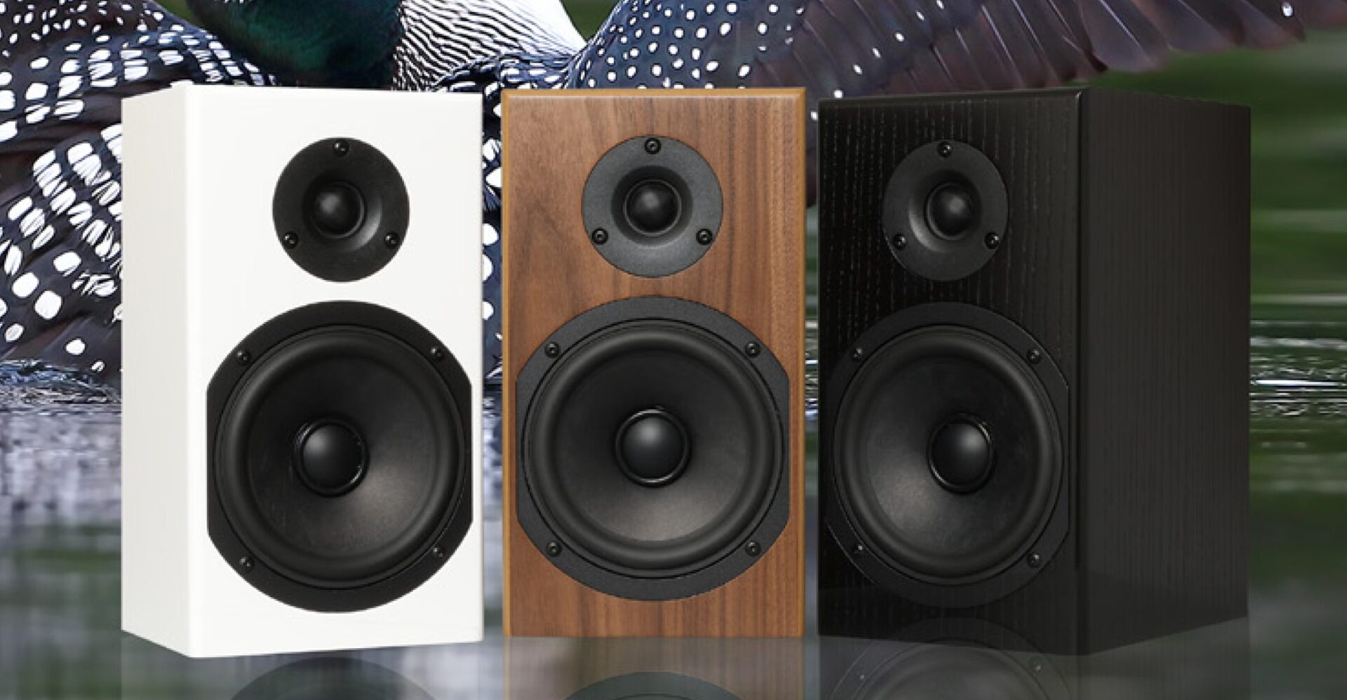 Totem Acoustic introduces the LOON