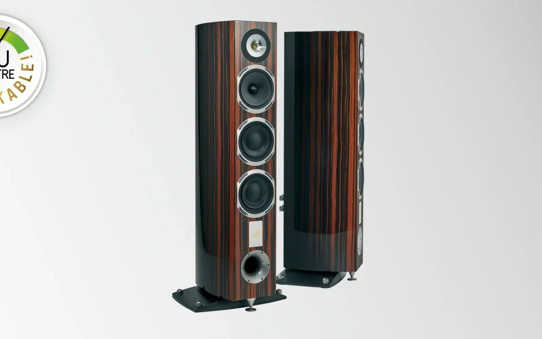 Triangle Magellan Cello 40th