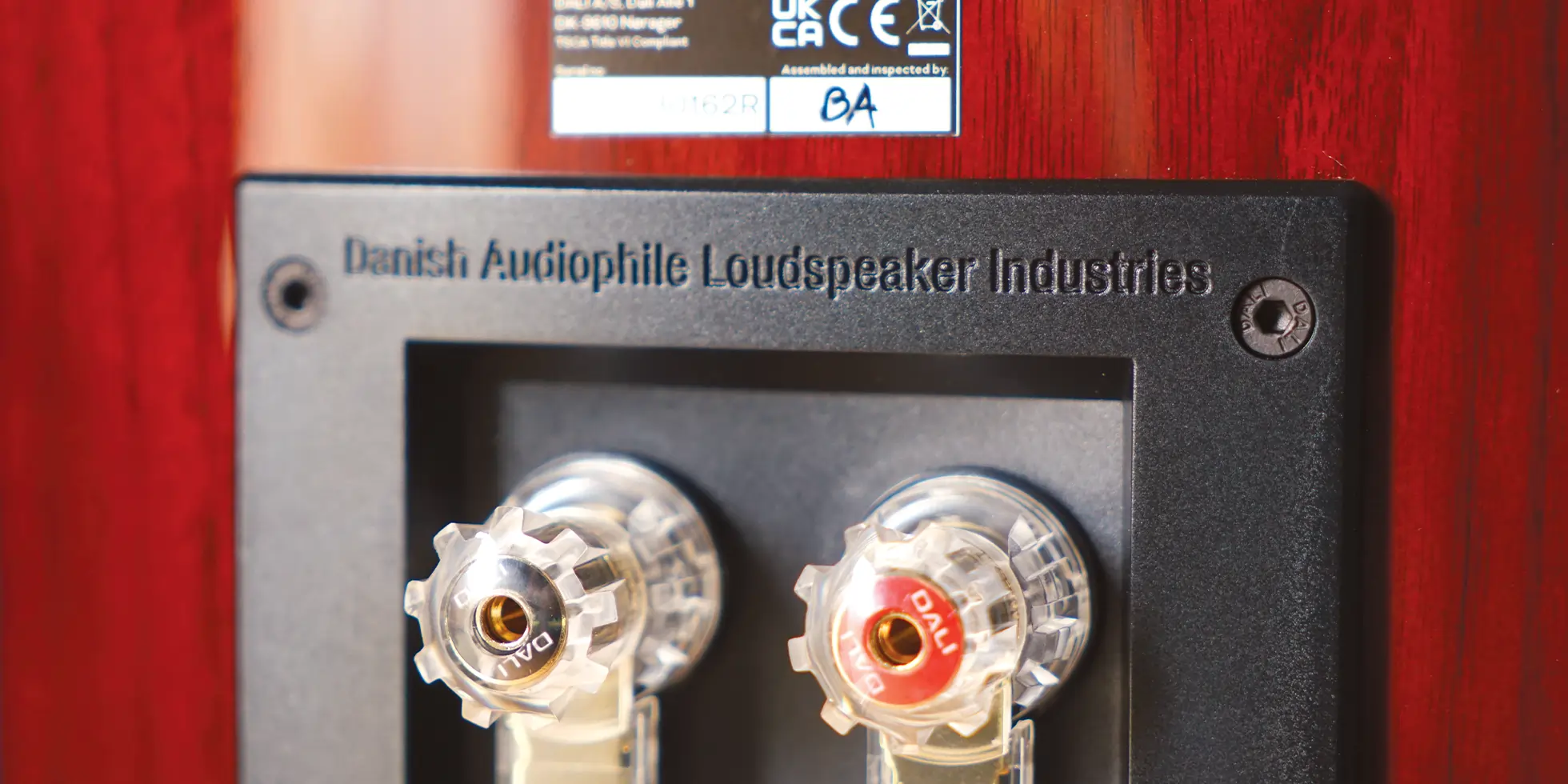 dali rubikore 2 hifi loudspeakers close-up rear cabinet connections