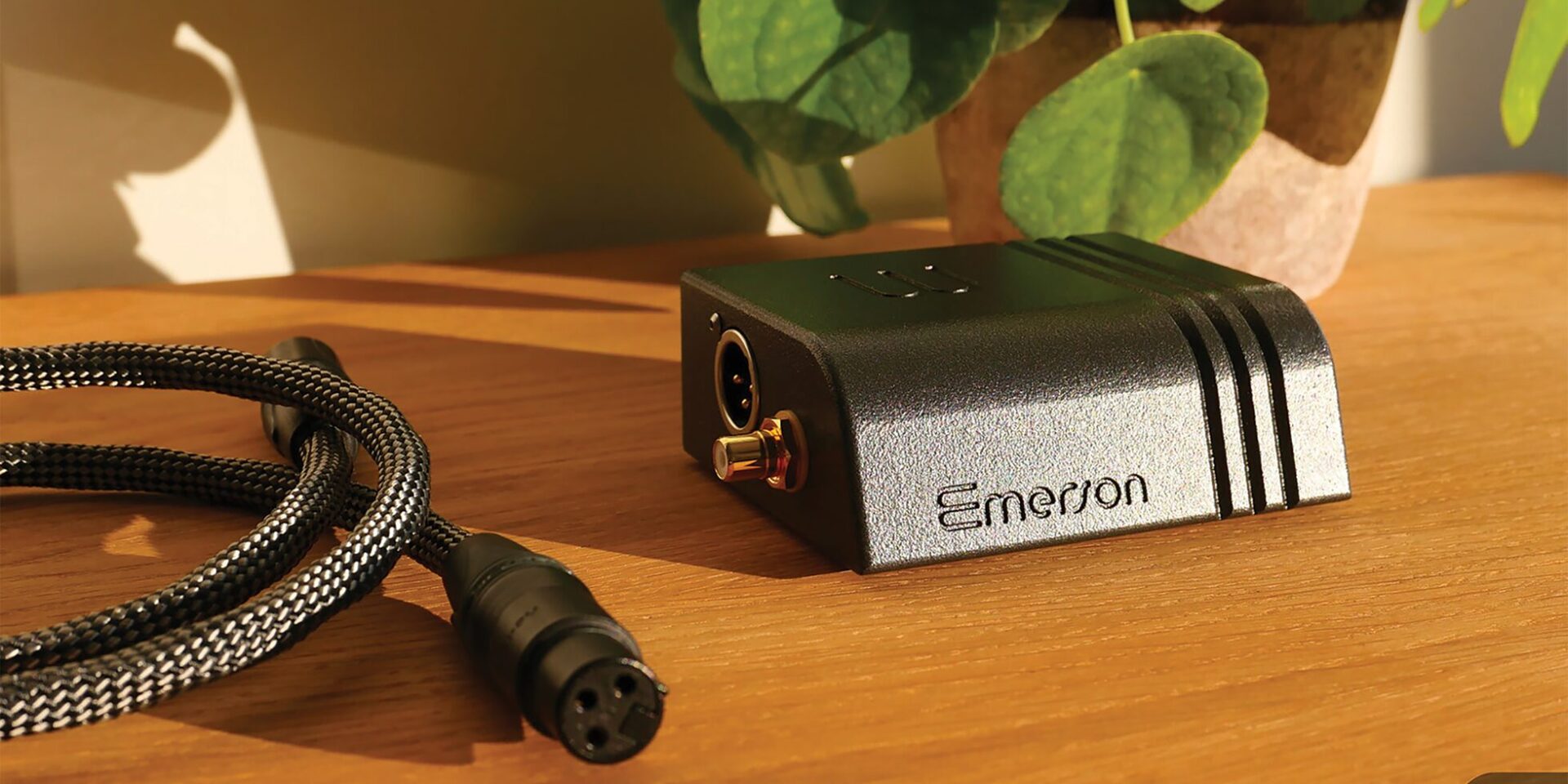Wattson Audio Emerson Digital view in context next to a hifi cable and a plant on a wooden desk