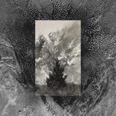 Superpoze - Siècle