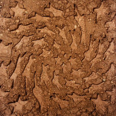 Toro Y Moi - Unerthed Hole Erth Unplugged